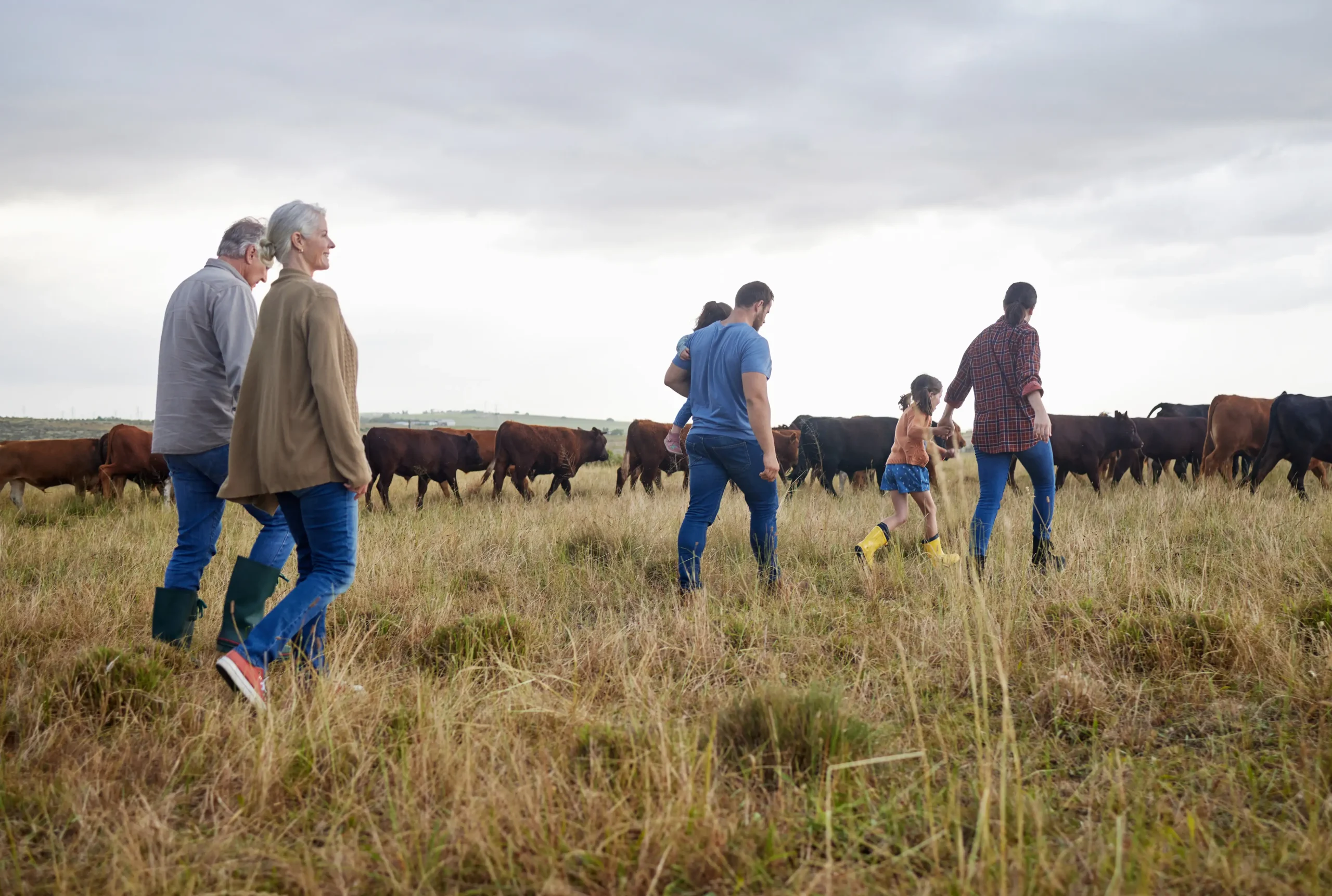 Multi-generational family walking through a field with cattle, symbolising longevity, growth, and generational continuity in family-led SMEs